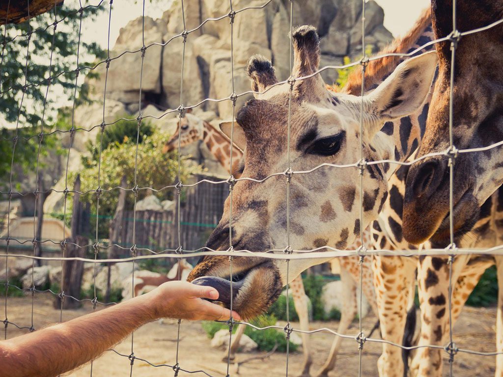 terra-natura-hostal-el-trovador